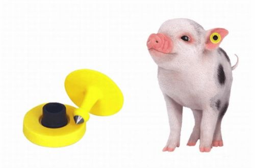 RFID电子耳标在我国养猪行业起到什么作用