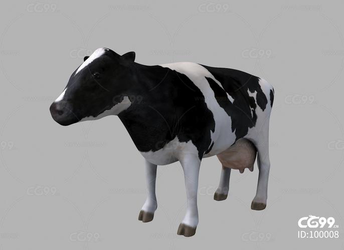 家畜系列 奶牛 母牛 牧场 畜牧 养殖 牛 黑白花 哺乳动物