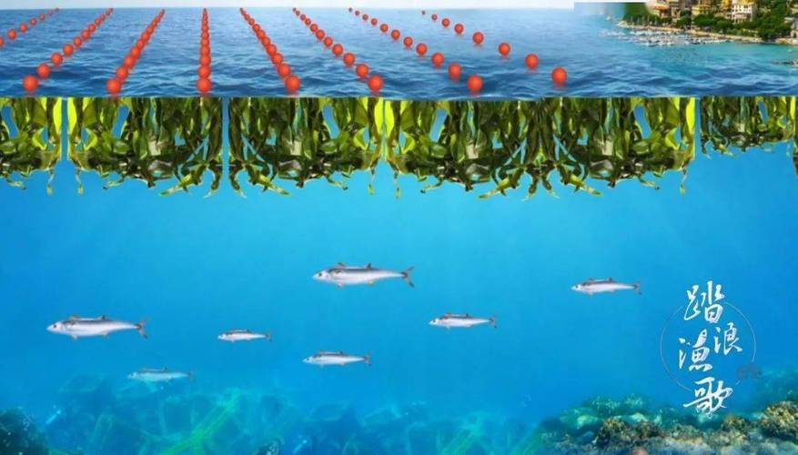 威海精致渔业引领全国水产养殖绿色发展新浪潮上